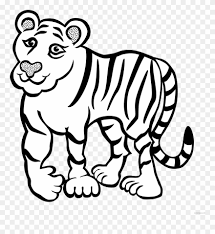 Find high quality black and white tiger clipart, all png clipart images with transparent backgroud can be download for free! Tiger Outline Animal Free Black White Clipart Images Cartoon Pictures Of A Tiger Black And White Png Download 1793042 Pinclipart