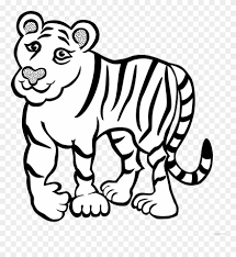 Tiger Outline Animal Free Black White Clipart Images Cartoon Pictures Of A Tiger Black And White Png Download 1793042 Pinclipart