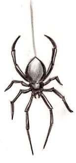 Though generally depicted as brown or black, spiders come in a wide variety of colors. 20 Spiders Ideas Black Widow Spider Spider Tattoo Black Widow Tattoo