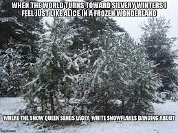 Wonderland Memes Gifs Imgflip
