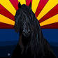 Arizona Friesian Horse Inspection