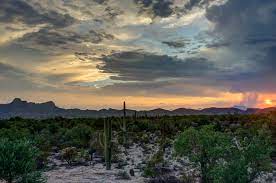We did not find results for: Desert Landscapes Michelle Munoz S Photography Blog