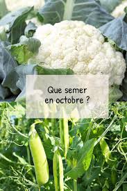 ouverture de notre jardin du bois de l abbaye en 2019 zou