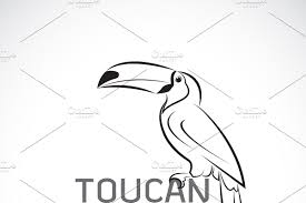 Bird With Big Colorful Beak Vector Of Toucan Birb Design Birds In 2020 Design Tattoo Graphic Graphic Design Tutorials