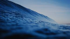 Long Beach Surf Report Long Range Forecast New York