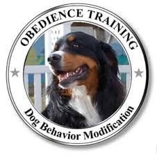 So rather than buying a dog or puppy for sale from a dog breeder or buying a cat or kitten for sale from a cat breeder, we encourage. Tenaker Pet Care Center 16 Photos 27 Reviews Pet Groomers 895 N Laredo St Aurora Co Phone Number