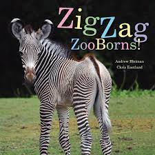 Baby Animal Names Baby Animals Pictures Baby Animal Names Cute Baby Animals