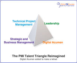 Pmtq Pmi S Vision For The Future Of Project Management Project Management Project Management Professional Management