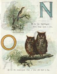 Birds That Start With The Letter N Bird Abc The Letter N And O Alphabet Illustration Vintage Art Prints Vintage Illustration