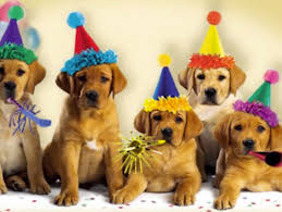 Happy Birthday Julie That Wasn T The Plan 45,000+ vectors, stock photos & psd files. that wasn t the plan wordpress com