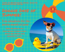 Long island feline adoption center. Town Of Brookhaven Animal Shelter Home Facebook