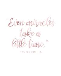 Cinderella Even Miracles Take A Little Time Etsy New Relationship Quotes Disney Quotes Miracle Quotes