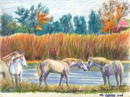 Pferde In Der Camargue Gemalt Mit Buntstiften Zeichnung Buntstifte Zeichnungen