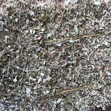 Want a pretty ground cover that will quickly fill in your medians, slopes, parkways and more? Perennial Peanut Archives Haymap