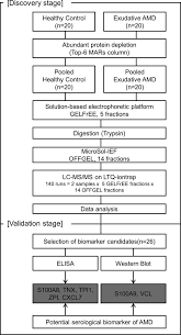 flow chart of the proteomic analysis of plasma samples with