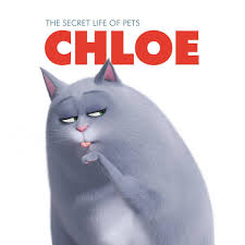 The Secret Life Of Pets The Secret Life Of Pets 2 Chloe Facebook