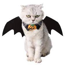Cat Halloween Costume With Cat Collar Bow Tie Pet Cat Bat Wings For Halloween Pet Halloween Costumes Cat Christmas Costumes Pet Costumes