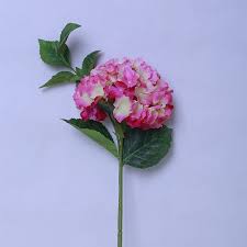We did not find results for: China Cheap Wholesale Artificial Flowers Silk Plastic Flower Artificial Hydrangea Flower China Wholesale Artificial Flowers And Silk Plastic Flower Price