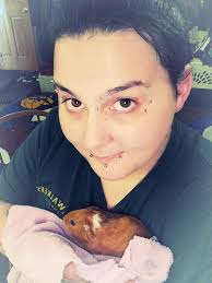 Adopting a Guinea Pig in DeKalb, IL