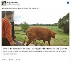 Vote up the worst clickbait headline on the list below and let us know in the comments if you've been a victim of a vicious clickbait attack. 10 Irresistible Clickbait Facebook Advertising Examples
