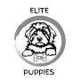 Elite Puppies from www.elitepuppiesest2016.com