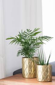 Neue Grunpflanzen Furs Wohnzimmer Soul Follows Design Grunpflanzen Pflanzen Idee