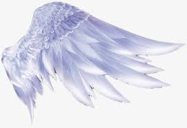 Angel Wings Png And Clipart Angel Wings Drawing Wings Drawing Cartoon Angel Wings