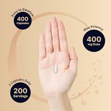 Amazon.com: L-Theanine Supplement 400mg Per Serving, 400 Capsules