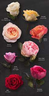 But though you may admire the colors and fragrances of these flowers, do you ever stop to ponder past their beauty? 10 Reasons Why Different Types Of Flowers And Their Meanings Is Common In Usa Different Types Different Types Of Flowers Types Of Flowers Rose Color Meanings
