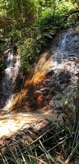 We love outdoor and nature activities, we are running an organisation which organized outdoor activities for local families and kids. Bamboo Forest Bukit Lagong Forest Reserve