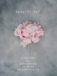 Pin By Nathalie Giron On Flowers Pink Beautiful Pink Grey