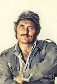 Robert Shaw, Actor #1 by Esoterica Art Agency