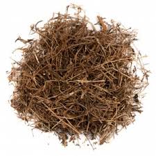 Image result for Oldenlandia cana