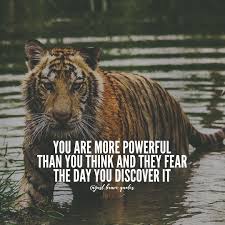 Thedamnwagon Yes Yes Yes So Much Yes Tiger Quotes Lioness Quotes Warrior Quotes