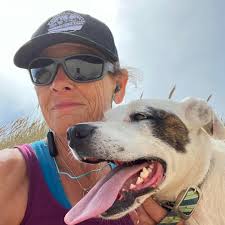 what happened to the bees in my hive?