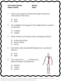 Free Circulatory Human Body Systems 5th Grade Science Distance Learning Packet Circulatory System Activities Human Body Systems Human Body Biology