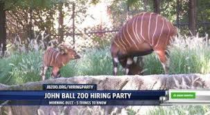 What S New At The John Ball Zoo Your List Of All The Zoo S New Animals Fox17 Animals Zoo How To Get Warm