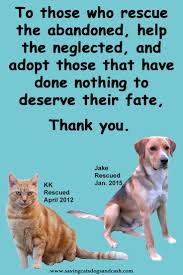Thank You To Those Who Care Enough To Do It Bless You A Thousand Fold For What You Give Those Broken Hearted Furbabies Saving Cat Dog Cat Cute Funny Animals