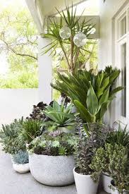 Landscape Design With Potted Plants Secret Gardens Of Sydney Patio Plants Plants Outdoor Plants