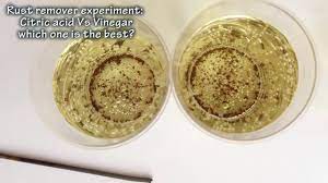Science backs up some of these claims. Rust Remover Experiment Citric Acid Vs Vinegar Youtube