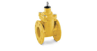 Resilient Seated Gate Valve PN16 - DN 40-300 | GTEEK