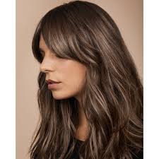 The garnier olia formula is made with 60% oils and without ammonia to moisturize and care for the hair. Ash Brunette Blend Behindthechair Com