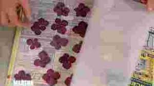 Still waiting weeks for your flowers to dry out in an old book? Pressing Flowers Video Martha Stewart