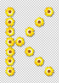 Github Flower Common Daisy Petal Png Clipart Alphabet