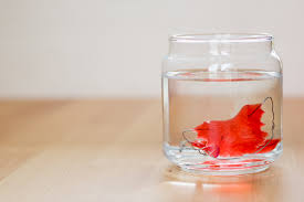 Using an effervescent cleanser tablet‌. How To Keep Your Removable Retainers Clean Uk Adult Braces