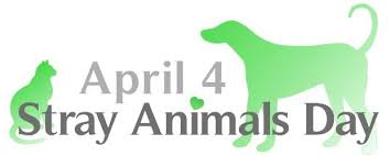 On national pet day, we should focus on volunteering at animal shelters or donating to them. Today Is World Stray Animals Day The Kefalonia Pulse