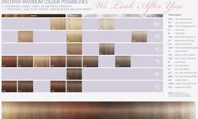 Experienced Hair Color Results Chart Mondes Hair Color Chart