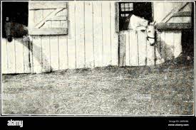 St. Nicholas [serial]. take you right away,But I go to bed at seven And  they never dance by day.If we fill our shoes with fern seed From the ferns  beside the