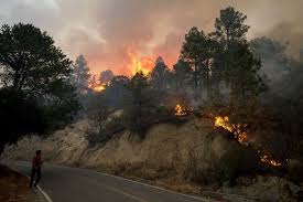 A conflagration can begin accidentally, be naturally caused (wildfire), or intentionally created (arson). Los Incendios Arrasan Mas De 7 000 Hectareas De Bosque En El Norte De Mexico El Pais Mexico