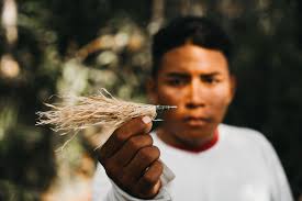 The Ultimate Peacock Bass Fishing Destination in the Amazon